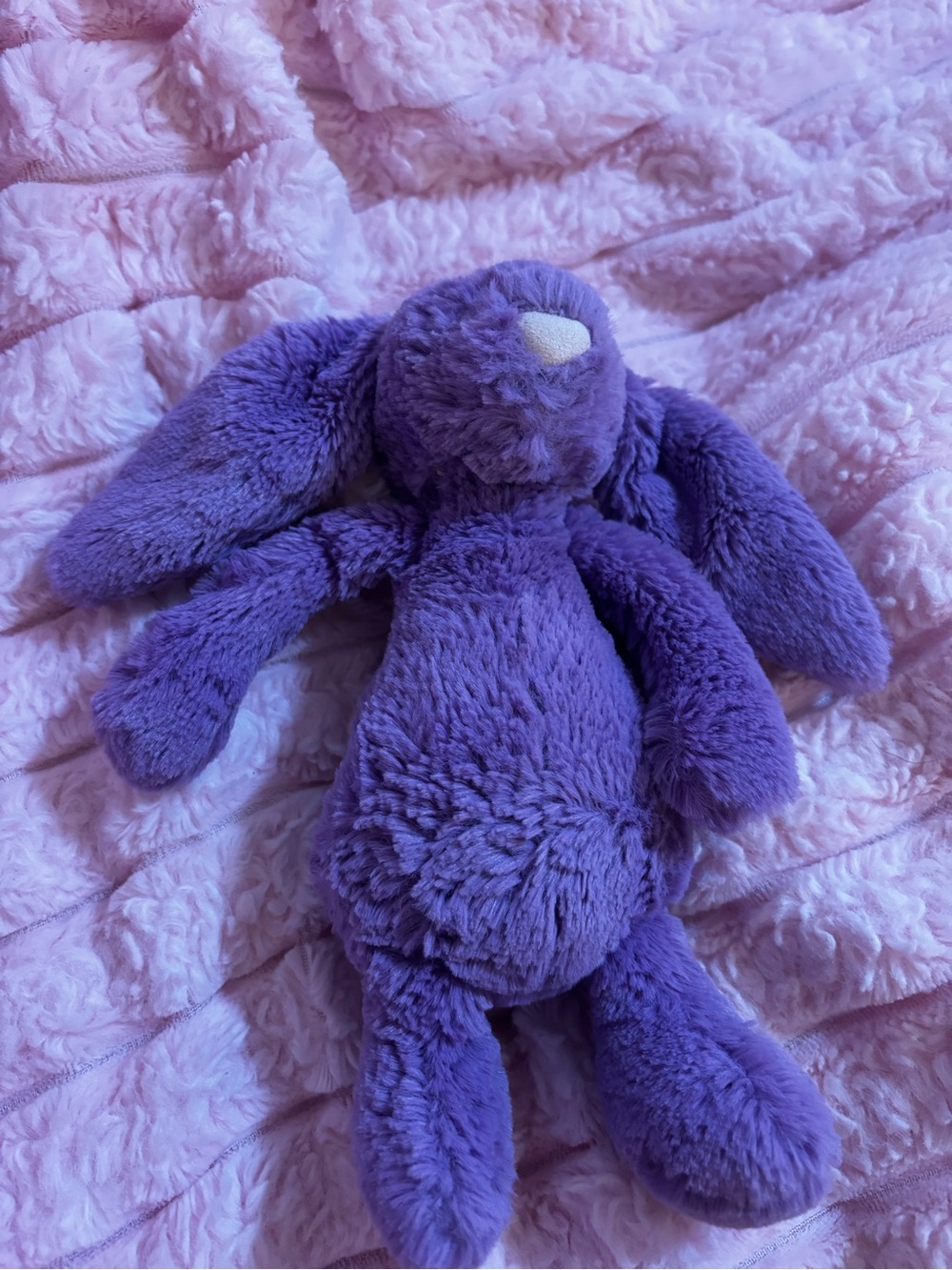 Retired purple iris bashful bunny size small